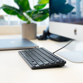 Wired Keyboard with USB hub ports & Dual USB C / A