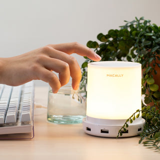 Touch Lamp Night Light with USB Charging Ports