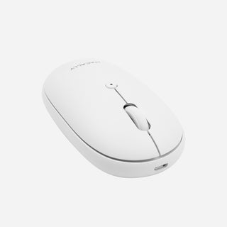 Wireless Mouse for Mac and PC (White)
