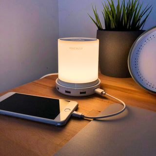 Touch Lamp Night Light with USB Charging Ports (Aluminum)